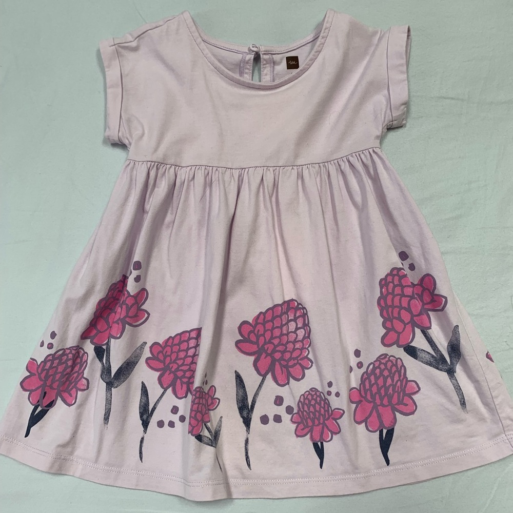 Tea collection dress. 2T